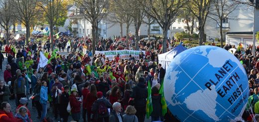 Manifestazione a Bonn (Germania) all'inizio della COP 23, la Conferenza ONU sui cambiamenti climatici del 2017. (fonte immagine: Spielvogel/Wikimedia Commons)