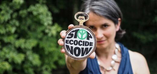 ecocidio